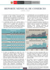 Vista preliminar de documento RMC Abril 2025