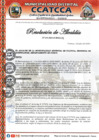 Vista preliminar de documento RES_ALCALDIA N° 134-2024