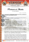 Vista preliminar de documento RES_ALCALDIA N° 135-2024