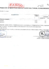 Vista preliminar de documento ANEXO-06-Nº0124