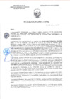 Vista preliminar de documento RD-2407-2025-DSAIA-DIRIS-LE-MINSA