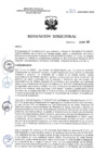 Vista preliminar de documento R.D. Nº 313-2025