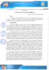 Vista preliminar de documento RESOLUCION DE ALCALDIA N° 317-2024-MPVH-A