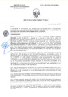 Vista preliminar de documento RD-2411-2025-DSAIA-DIRIS-LE-MINSA