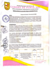 Vista preliminar de documento Resolución de Alcaldía N° 082-03-2025-MDCPS-ALC
