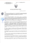 Vista preliminar de documento RD-2420-2025-DSAIA-DIRIS-LE-MINSA