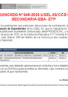 Vista preliminar de documento comunicado 46-2025 CCD