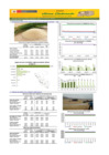 Vista preliminar de documento Boletín de abastecimiento y precio del ARROZ - 04/06/2025