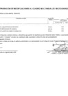 Vista preliminar de documento Anexo 6 CMN - Del 120 al 141