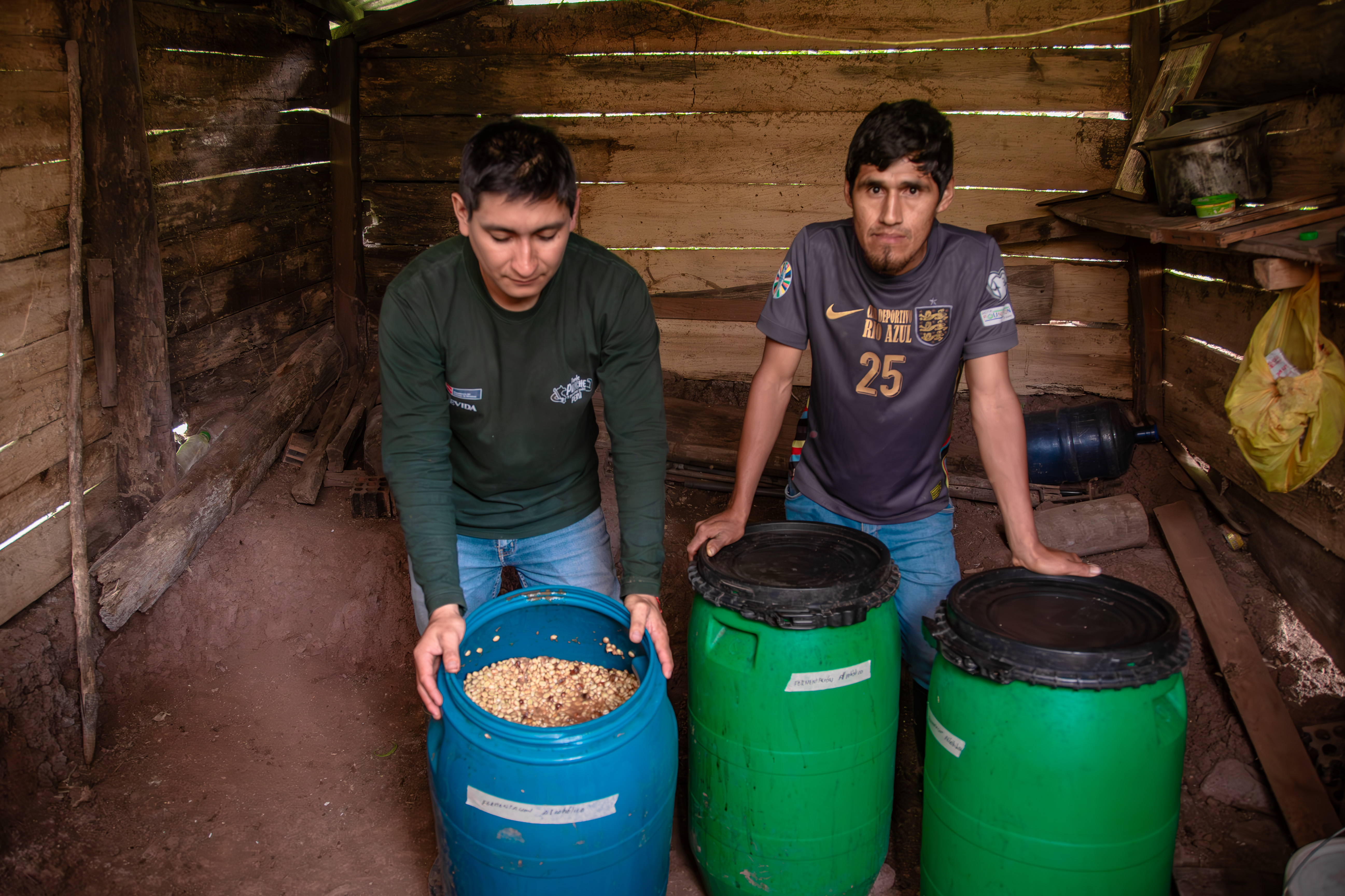 Huánuco: Devida impulsa técnicas especializadas para mejorar el café de la región