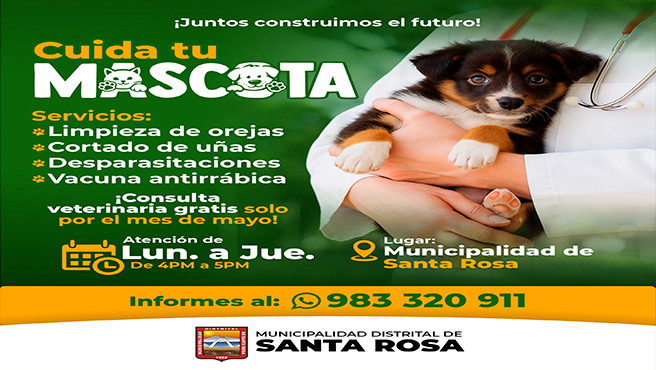 mascotas