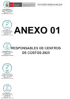 Vista preliminar de documento Anexos 01 y 02 - Actualización de responsables de centros de costos y coordinadores PPRs 2025