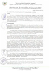 Vista preliminar de documento RA_132_2025_MDI