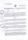 Vista preliminar de documento RD 0076