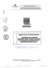 Vista preliminar de documento Directiva N° 002-2025-GM-MDS