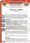 Vista preliminar de documento RA-N°-163-2024