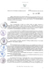 Vista preliminar de documento ORA.252