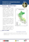 Vista preliminar de documento maiz_monitoreo_3may25