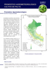 Vista preliminar de documento palto_monitoreo_3may25