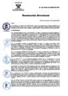 Vista preliminar de documento RD N° 100-2025-DG-INSM HD-HN