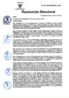 Vista preliminar de documento RD N° 101-2025-DG-INSM HD-HN