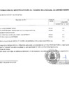 Vista preliminar de documento ANEXO N°06 - APROBACIÓN DE MODIFICACION AL CMN N°0089