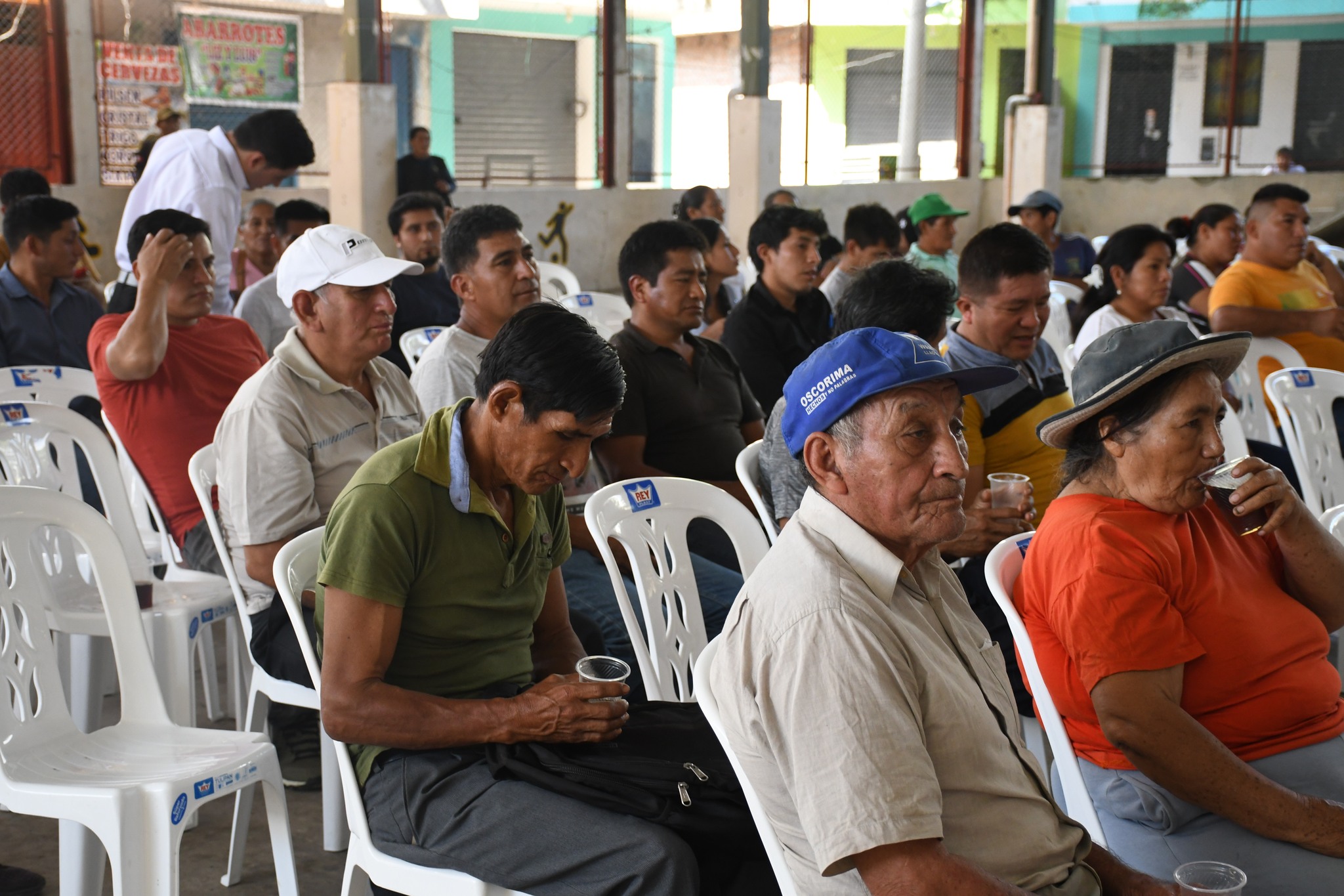 Imagen 2