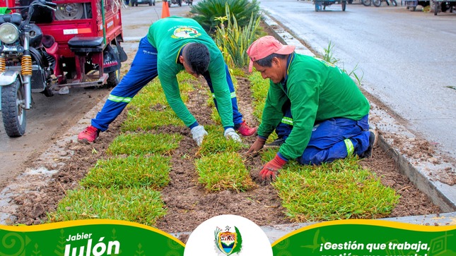 Recuperamos 27 cuadras de áreas verdes en Bagua. 