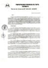 Vista preliminar de documento RG-228-2025-GM-MPS