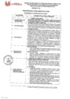 Vista preliminar de documento REQUERIMIENTO N° 046-2025-SBPM-GG-GAC-MSBF