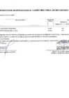 Vista preliminar de documento MODIFICACION2025CMN (55)