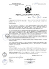 Vista preliminar de documento R.D. Nº 333-2025