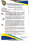 Vista preliminar de documento Resolución de Alcaldía N° 0119-04-2025-MDCPS-ALC
