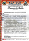 Vista preliminar de documento RA-N°-208-2024