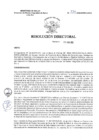 Vista preliminar de documento R.D. Nº 334-2025