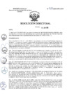 Vista preliminar de documento R.D. Nº 335-2025