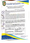 Vista preliminar de documento Resolución de Alcaldía N° 0116-04-2025-MDCPS-ALC