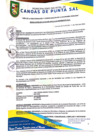 Vista preliminar de documento Resolución de Alcaldía N° 0115-04-2025-MDCPS-ALC