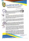 Vista preliminar de documento Resolución de Alcaldía N° 0114-04-2025-MDCPS-ALC