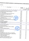 Vista preliminar de documento ANEXO 06 MCMN 177-2025-GRM