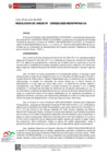 Vista preliminar de documento RU-0222-2025-MIDIS-PNPAIS-UA