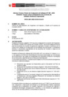 Vista preliminar de documento TPES-001-2025-OEDI-OA-ATI