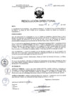 Vista preliminar de documento R.D. Nº 289-2025