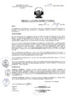 Vista preliminar de documento R.D. Nº 293-2025