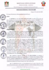 Vista preliminar de documento ORDENANZA MUNICIPAL N° 04-2025-MDP
