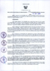 Vista preliminar de documento -2339710580341106111