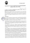 Vista preliminar de documento RGEIDUR041-2024