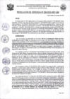 Vista preliminar de documento RESOLUCION DE GERENCIA Nº 290-2025-MDY-GM