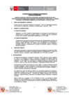 Vista preliminar de documento TDR