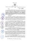 Vista preliminar de documento GRI.095